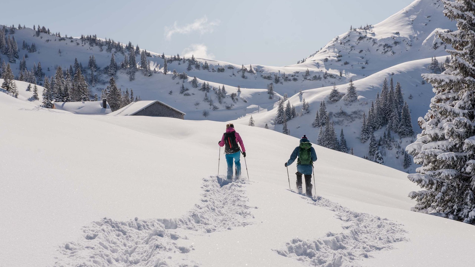 Wander- und Skiurlaub im Tannheimer Tal